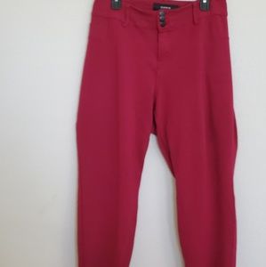 Torrid Jeggings